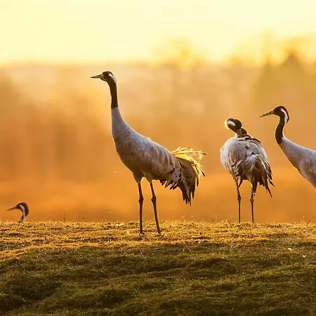 Apartman Weitblick In Waren